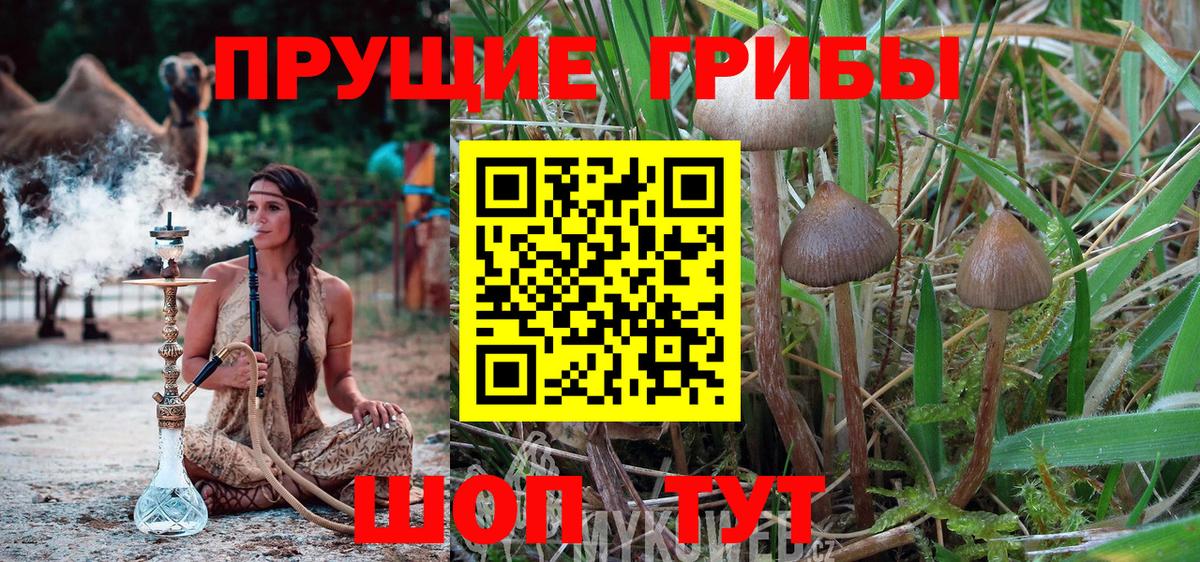Псилоцибиновые грибы мицелий  Псилоцибиновые грибы мухоморы  Бирск  Вход с VPN 